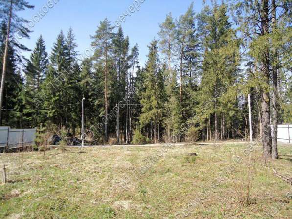 realty_mapper3.plot_in_locationСадовое некоммерческое тов-во. Площадь 20.00 сот.Есть Электричество. в Москве фото 9