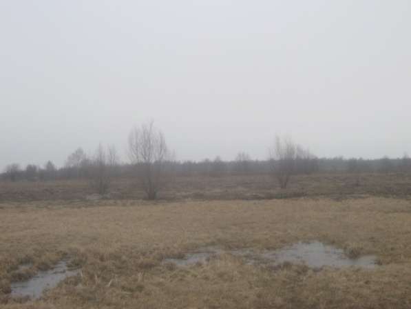 Продаю земельные участки сельхозназначения в Старой Руссе фото 8