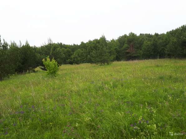 Участок 15 соток в Туле фото 21