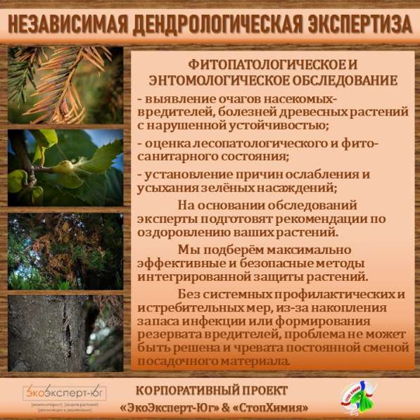 СИСТЕМА УПРАВЛЕНИЯ ФИТОСАНИТАРНЫМ СОСТОЯНИЕМ ЭКОСИСТЕМ в Сочи фото 41