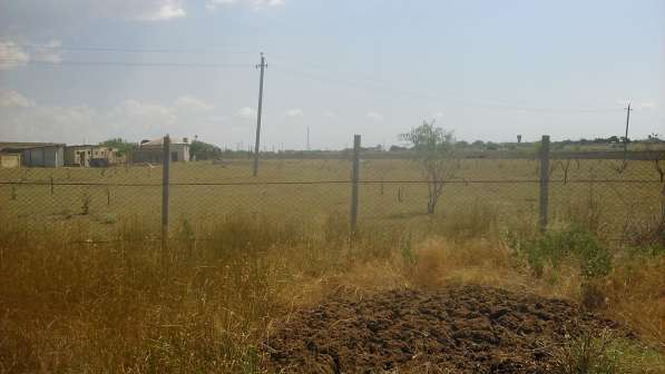 Продается земельный участок площадь 1 га в с. Суворовском в Евпатории фото 8