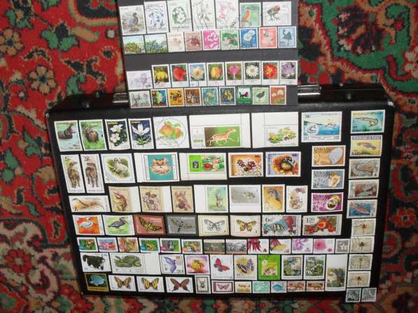 Более сотни марок мира в Красноярске