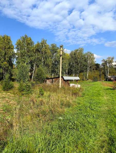 Производственная База 1,1 Га в Красноярске фото 11