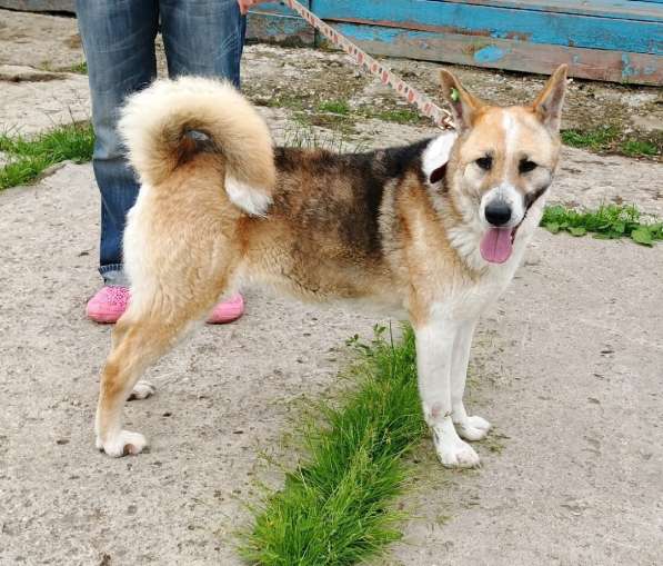 Супер позитивная девчонка Зира ищет своего ЧЕЛОВЕКА в Москве