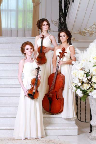 Скрипка на свадьбу - струнное трио, свадебная музыка в Москве фото 7