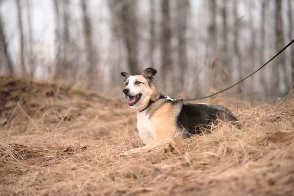 Молодой энергичный Майор ищет семью в Москве фото 50