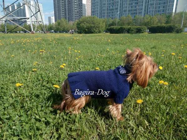 Вязаная одежда для собак в Москве фото 12