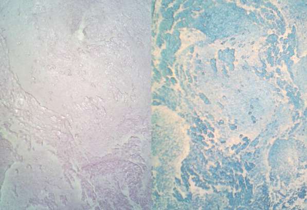 Фактурная декоративная штукатурка (недорого) в Омске фото 22