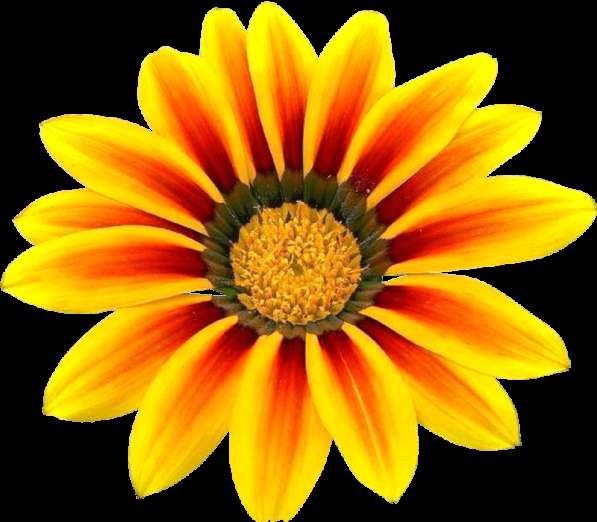 Проведем аудиторскую проверку! в Москве фото 17