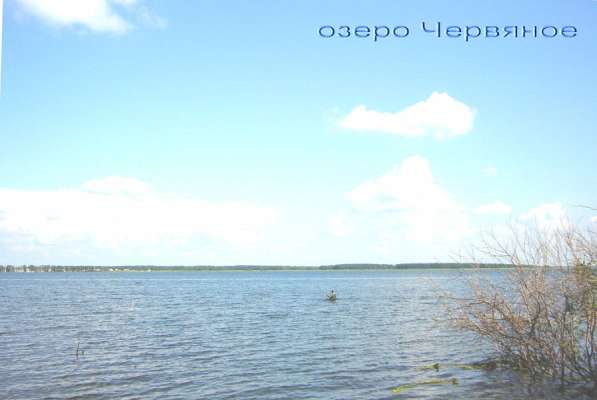 Земельные участки на берегу рыбного озера Червяное