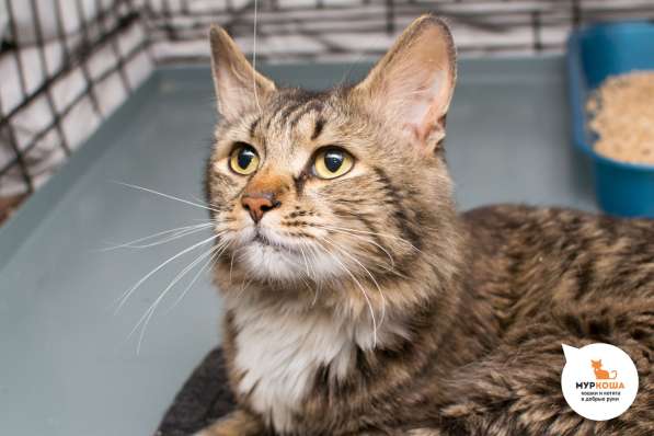 Почему Рекс решил уйти из шоу-бизнеса в Москве фото 3