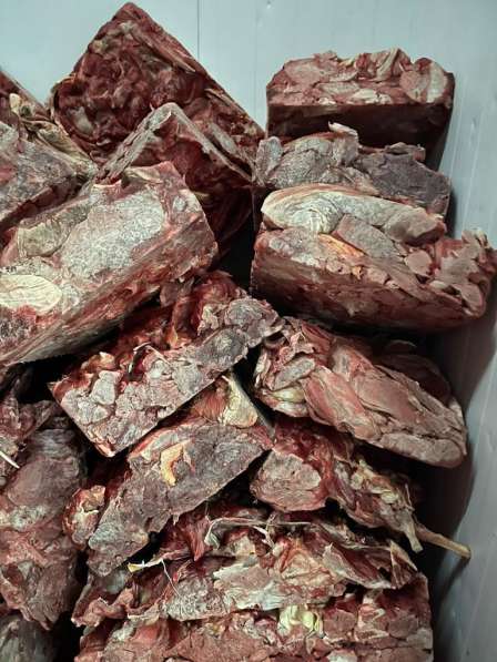 Продать субпродукты говяжьи замороженные и мясо говядины