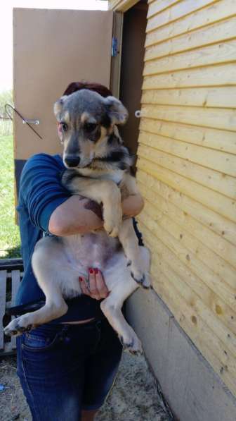 Великолепная Четверка в дар в Москве фото 31