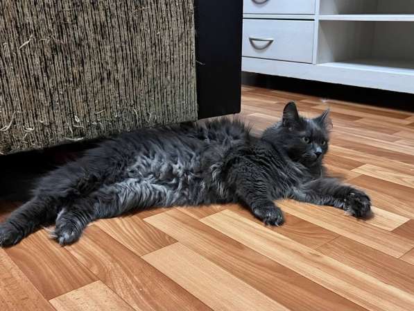 Шикарная Марси в