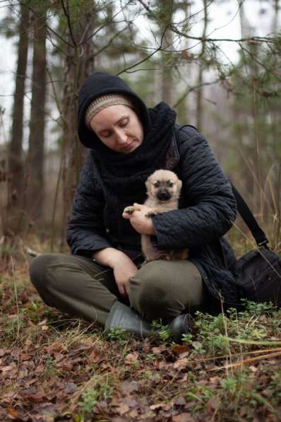Крохи-щенки — вырастут маленькими в Москве фото 8