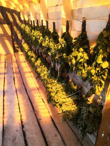 Березовые веники