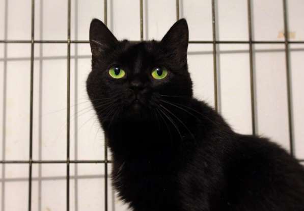 Загадочная Джина ждёт своего человека в Москве