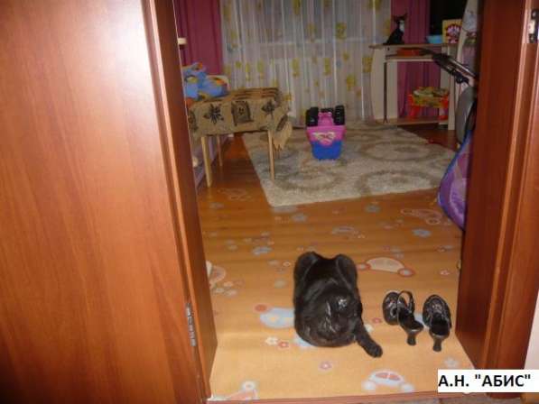 Сдается 3 комнатная квартира по ул. Нахимова в Челябинске