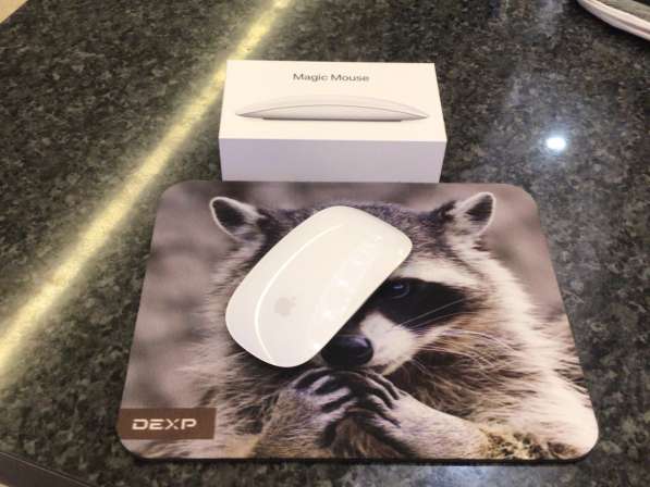 Magic Mouse 2