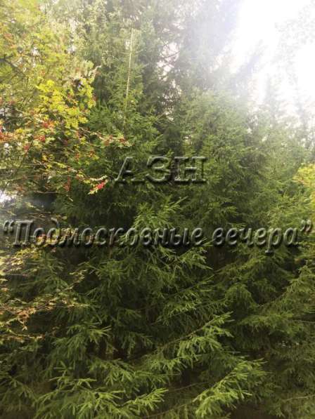 realty_mapper3.plot_in_locationСадовое некоммерческое тов-во. Есть Газ, Водопровод. в Москве фото 3