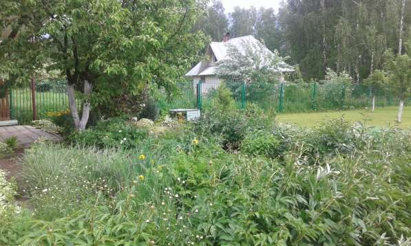 Теплый зимний дом с собственной баней в Киржаче фото 3