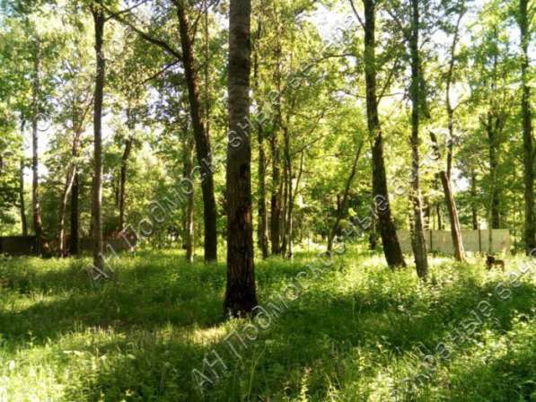 Продам коттедж в Москва.Жилая площадь 170 кв.м.Есть Газ, Водопровод. в Москве фото 35