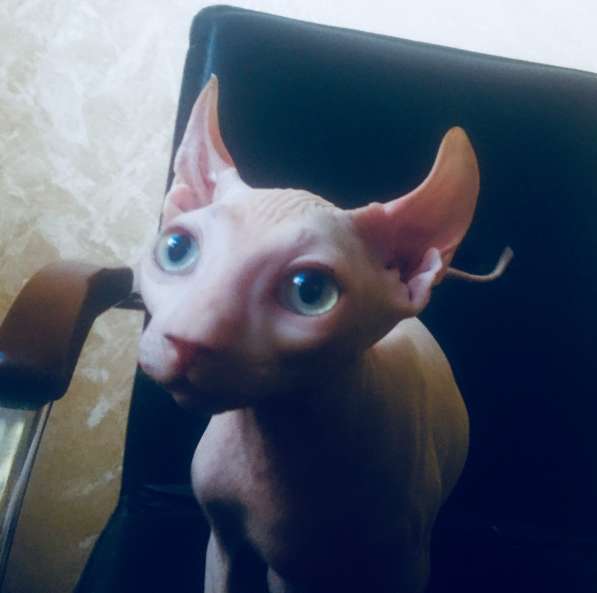Девочка в Ялте