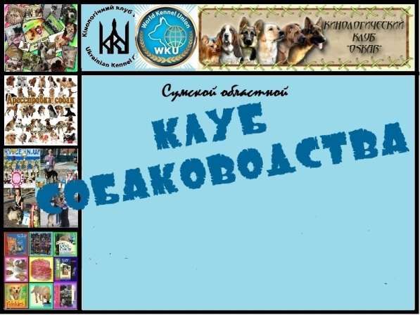 Приглашаем в клуб собаководства в фото 5