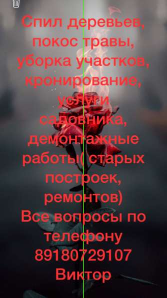 Услуги садовника, демонтажные работы, спил деревьев и тд