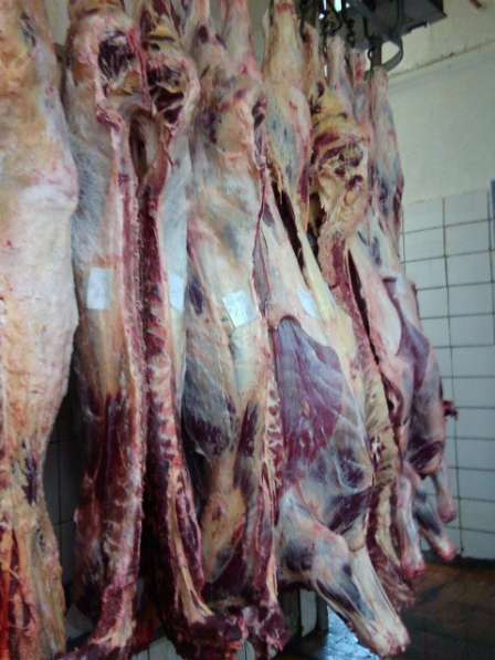 Предлагаем поставку мясо-колбасных изделий в Ижевске фото 5