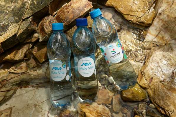 Mole Vita в Крымске фото 8