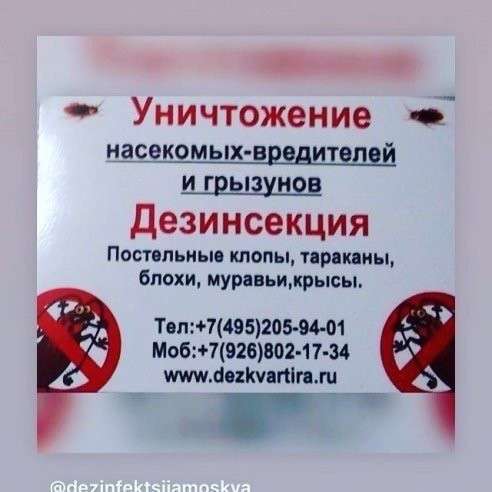Уничтожение насекомых в Москве