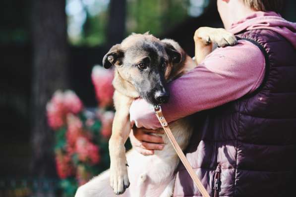 Идеальный щенок в дар в Санкт-Петербурге