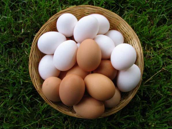Продам куриные яйца десяток 90 р Минусинск шушенская 10 т