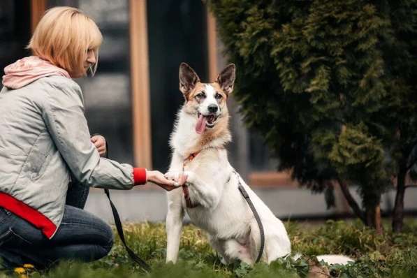 Тунис в поисках любящей семьи в Москве фото 21