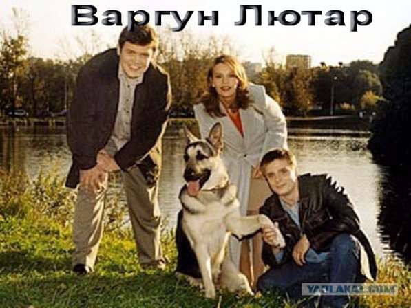 Восточно - европейская овчарка-щенки! в Новокузнецке фото 7