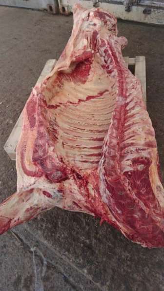 Мясо говядина в Уфе фото 4