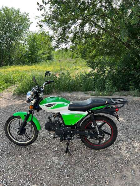 Продаю своего коня в Волгограде фото 3