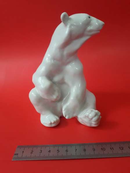 Медведь белый