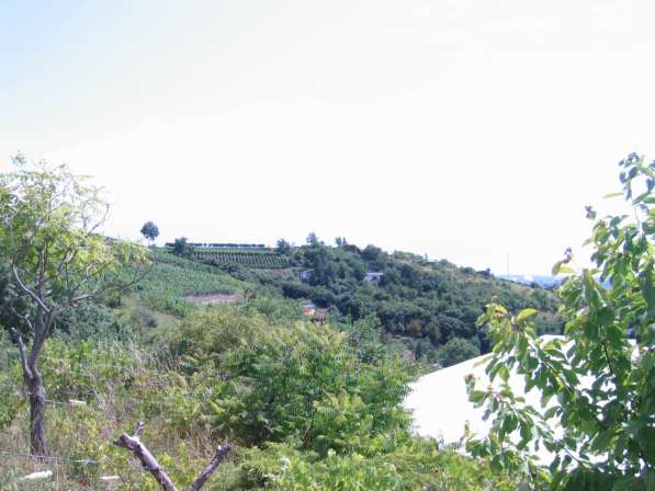 Дача в Германии с живописным видом в Москве фото 7