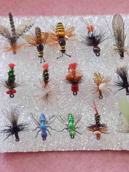 Мушки и нимфы в Ухте фото 4