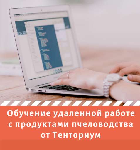 Набирается группа для обучения удаленной работе