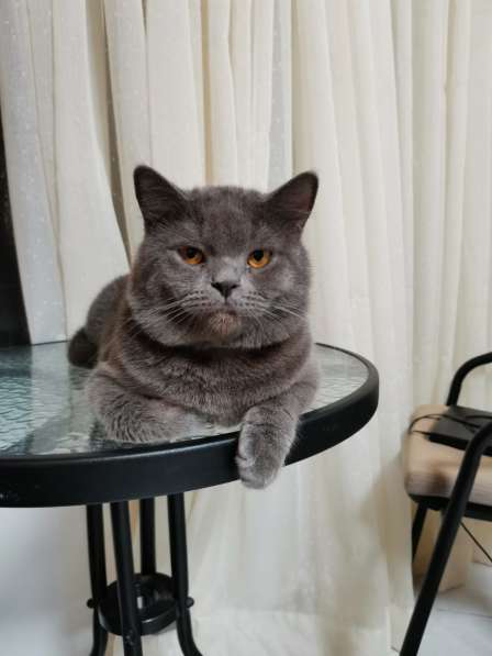 Вязка в фото 5