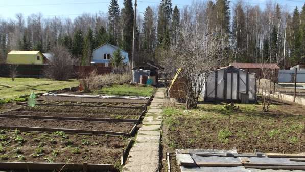 Продам дачу на Свинокомплексе в Перми фото 11