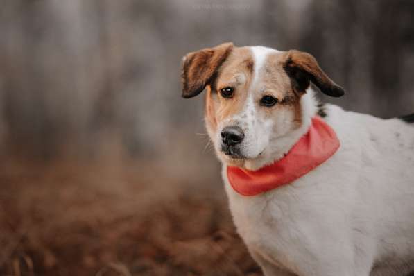 Улыбчивый лучик Фаина ищет семью в Москве фото 9