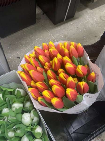 Тюльпаны к 8 марта в Барнауле фото 5