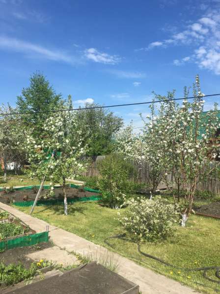 Срочно продам жилой дом + земельный участок в Омске фото 18