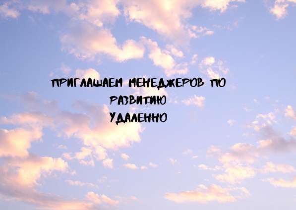 Удаленный менеджер по развитию