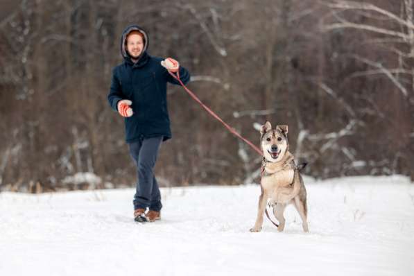 Милый оптимист Джек ищет дом в Москве фото 19