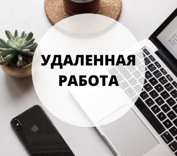 Администратор WhatsApp